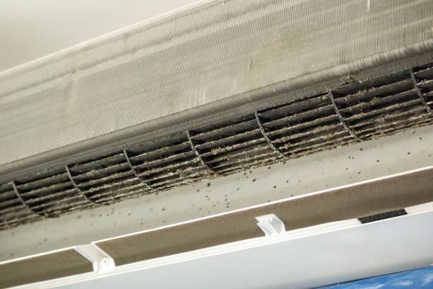 Best HVAC Air Duct Cleaning  in Plantation, FL